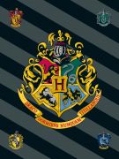 Dětská fleecová deka Harry Potter | 100/150