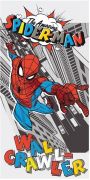 Dětská bavlněná osuška Spider-man "Pop" | 140/70